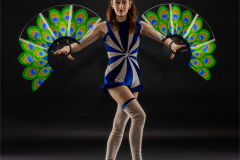 LED pixel fans